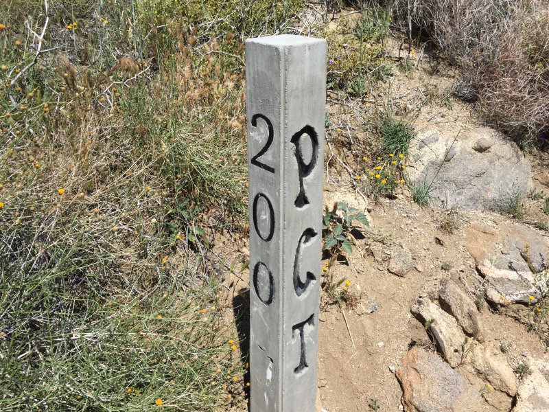 One of few mile markers on this trail.