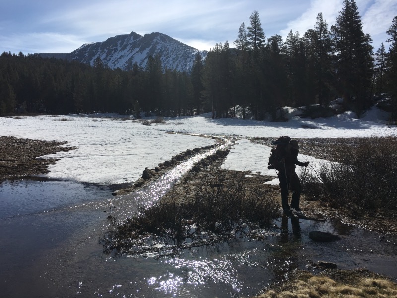 In some places the trail is a creek.