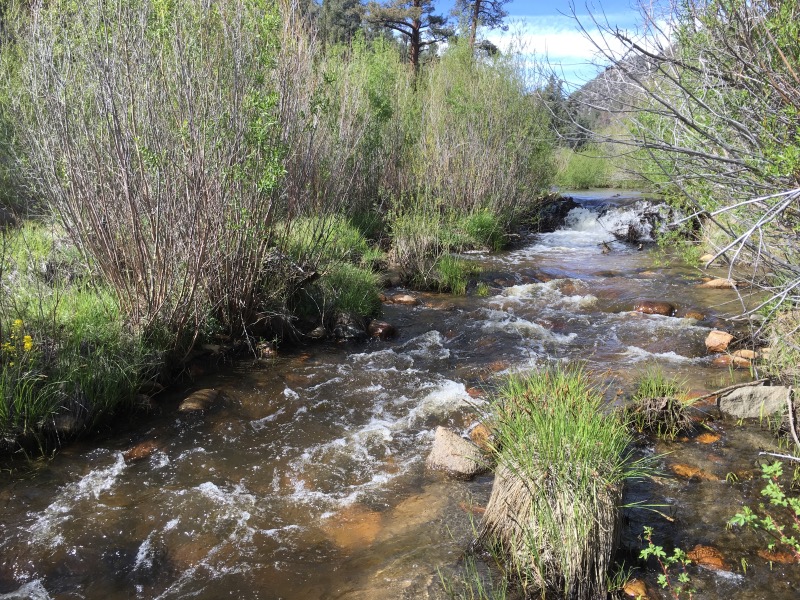 South Fork Kern River