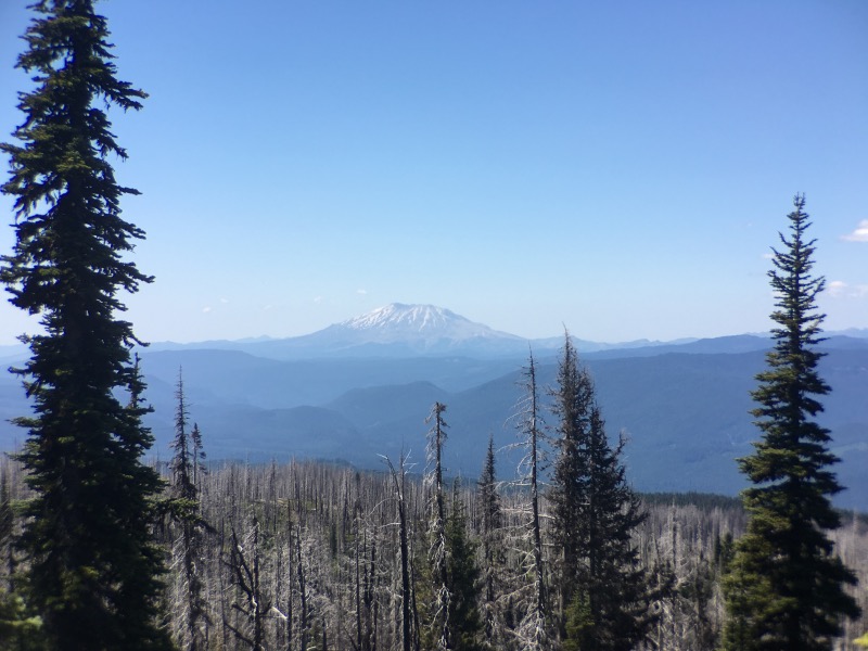 Looking west to Mount Saint Helens.